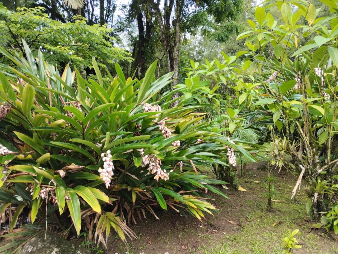 Pousada Morretes Arraial Exteriör bild